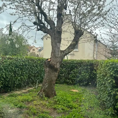 Maison Familiale, Quartier Calme Διαμέρισμα *